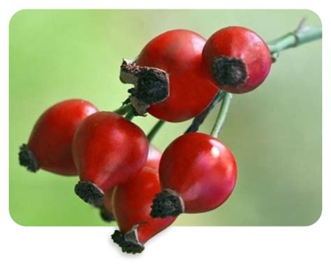 Pomegranate + Retinol Eye Cream for Fine Lines & Wrinkles – Dot & Key