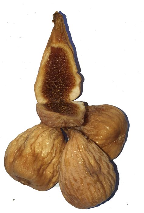 Finca La Soledad - Somos Artesanos del Higo, Higos Ecológicos y Artesanos