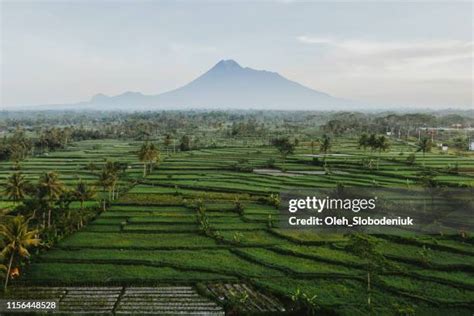 Merapi Java Volcano 的图像结果