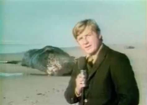 Image result for Exploding Whale KATU