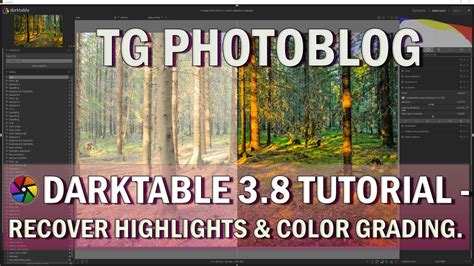 Darktable Retoque Tutorial 的图像结果