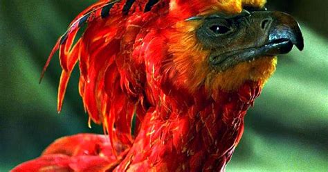 Harry Potter and the Methods of Rationality — Teletype