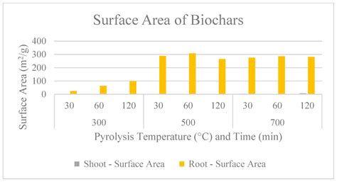 Valorization of Spent Vetiver Roots for Biochar Generation