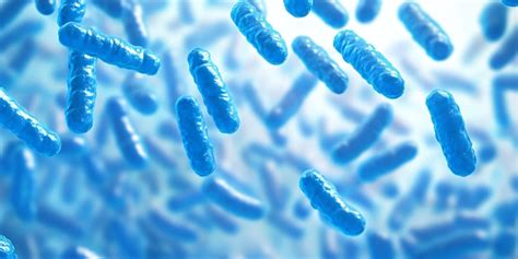 Code Python for Bacteria Movement 的图像结果