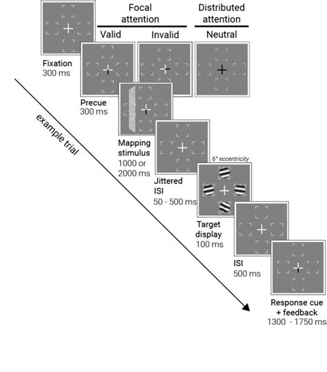 PRF Protocol 的图像结果