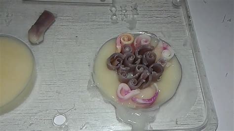 Image result for rebatching