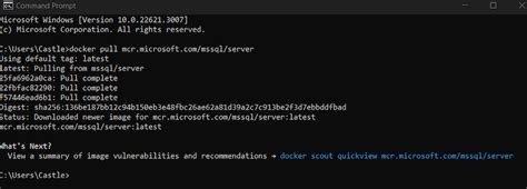 Image result for Install MS SQL Express Docker Windows