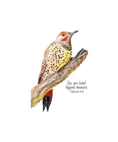 Northern Flicker Yellowhammer Bird Watercolor Alabama State Bird ...