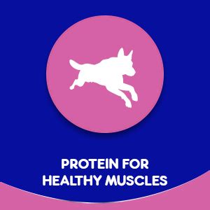 Chappi Puppy Dry Dog Food, Chicken & Milk