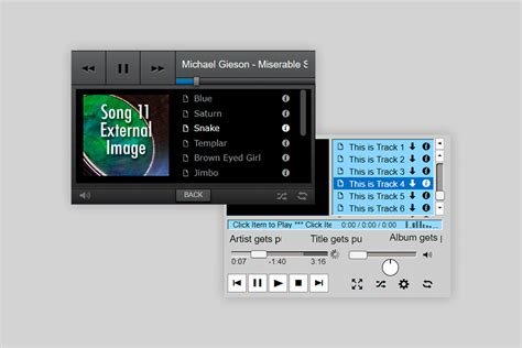 Image result for FLV File Player