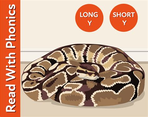 Image result for Long Script Y