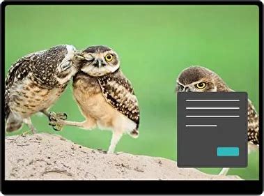 Image result for Floating Button CSS/HTML Design