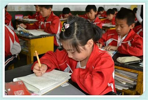 优享资讯 | 10日起除部分区外，广州中小学阶段学校暂停线下教学