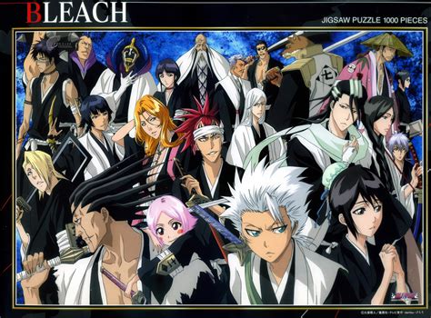 Bleach Characters Captains And Lieutenants