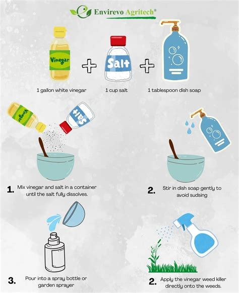 DIY Vinegar Weed Killer: Natural, Non-Toxic, and Effective