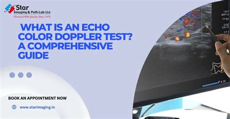 What Is an Echo Color Doppler Test? | Comprehensive Guide