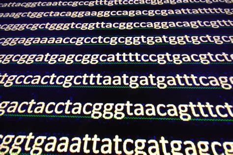 Image result for DNA Sequencing