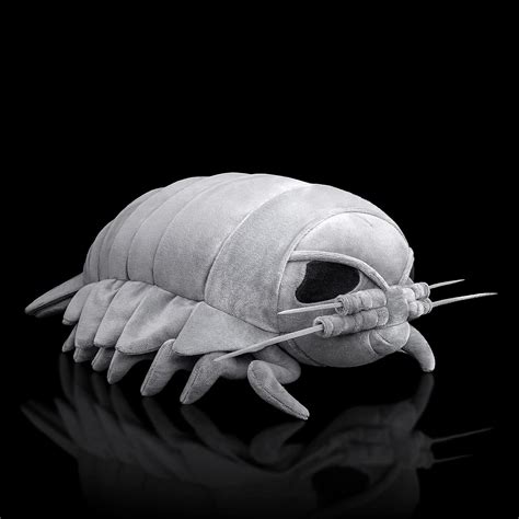Buy ZHONGXIN MADE Isopod Plush - Lifelike 12” Isopod Stuffed Animal ...