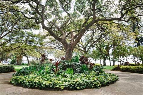 Olowalu Plantation House Wedding in Maui, Hawaii