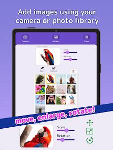 Good Flash Card Making Apps 的图像结果