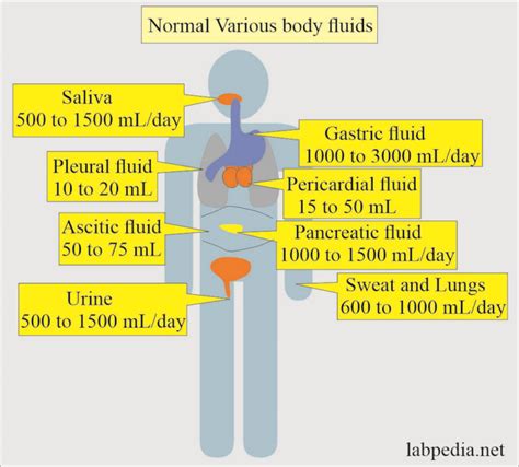 Body Fluids Analysis 的图像结果