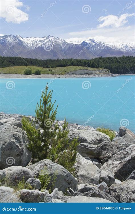 Lake Pukaki, New Zealand stock image. Image of natural - 83044935