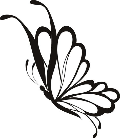 butterfly drawing side