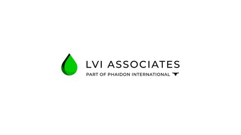 Public Opportunities Estimator [REMOTE] job in Reston, Virginia | LVI ...