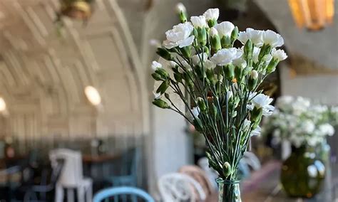 Best Baby Shower Themes & Ideas | Pampers| Pampers IN