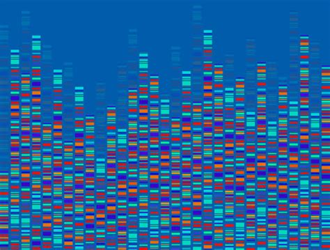 Image result for DNA Barcoding Method PNG