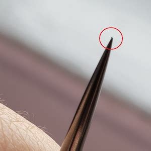 Image result for Victorian Thread Catcher