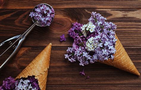 Wallpaper flowers, horn, wood, flowers, lilac, spring, lilac, cone for ...