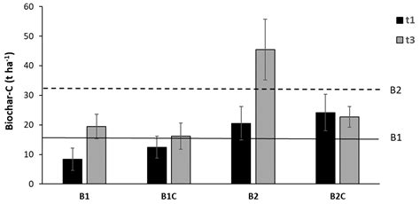 Stability of Woodchips Biochar and Impact on Soil Carbon Stocks ...