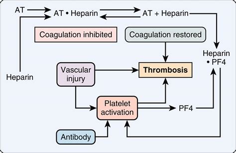 Coagulation and Transfusion Management - Clinical Tree