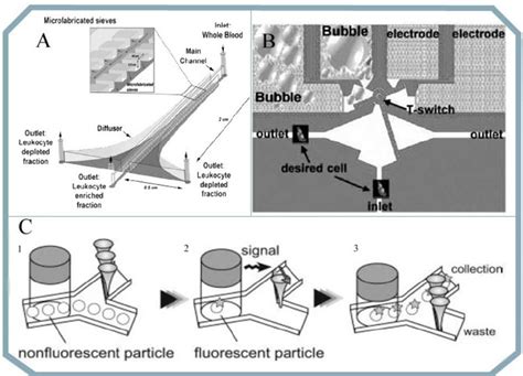 Image result for Diffusio Filter