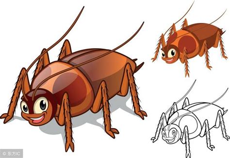 家里很多小蟑螂怎么办，如何有效杀灭家中的蟑螂 - 知乎