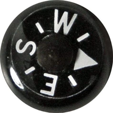 Image result for Button Compass