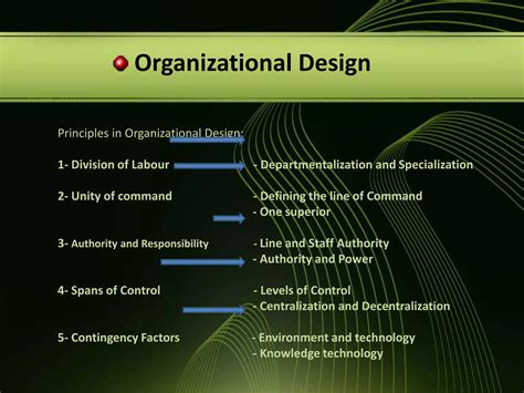 Organization Design 的图像结果
