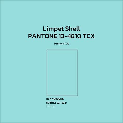 Image result for Limpet Shell Color