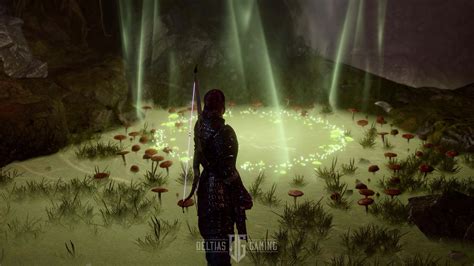 Best Druid Spell Tier List in Baldur's Gate 3 - Deltia's Gaming