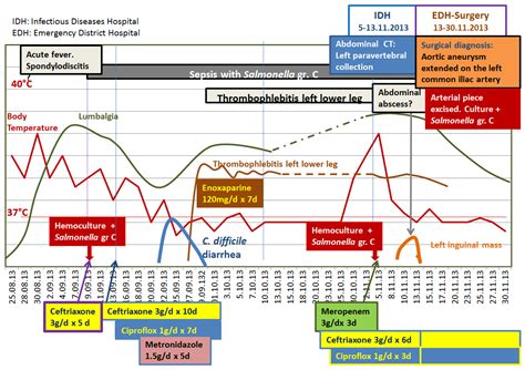 Endovascular Infection with Salmonella Group C—A Case Report