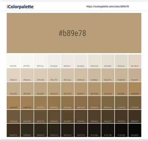 Earthy Ocher Color | b89e78 | Color conversion CMYK | Hsl | Rgb ...
