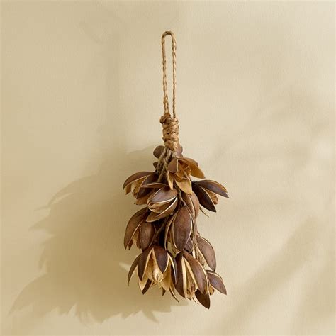Buy Lets Garden Nest Dried Lily Hanging Plant from Home Centre at just ...