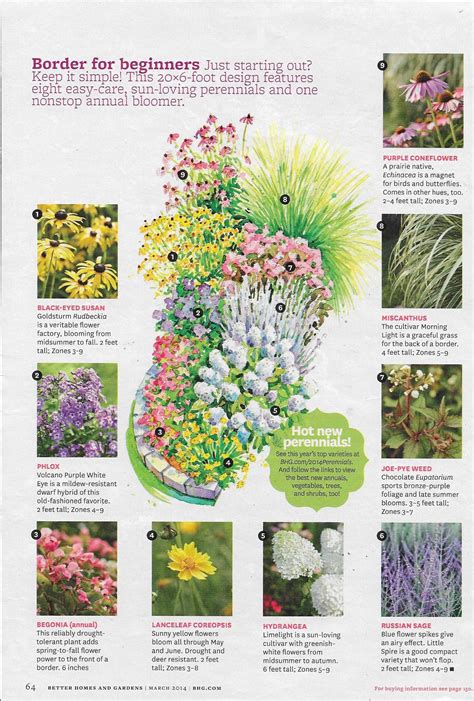 Sun-Loving Perennial Border (BHG) in 2023 | Perennial garden plans ...