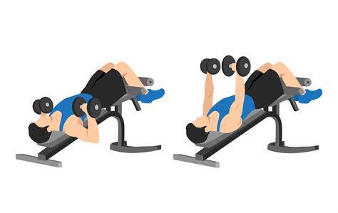 Decline Bench Press vs Flat and Incline: Chest Exercise Guide