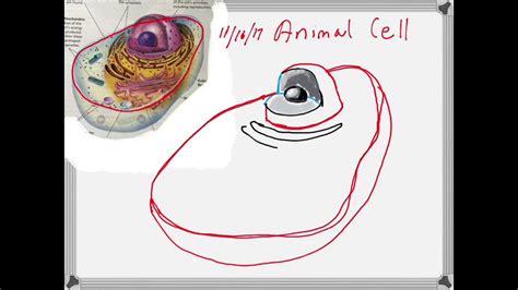 Image result for Simple Cell Cartoon