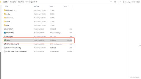 Microsoft SQL Server 的图像结果