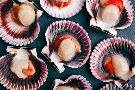Real Food Encyclopedia - Scallops - FoodPrint