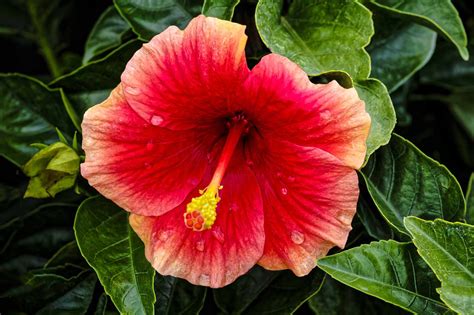 Biotechnology Examples 的图像结果