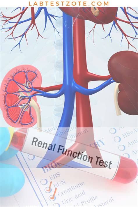 Kidney Function 的图像结果